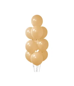 Apricot Morandi Latex Balloons 12inch 20pk
