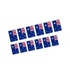 Australia Flag Bunting 5m