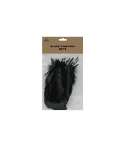 Black Feathers 20pc