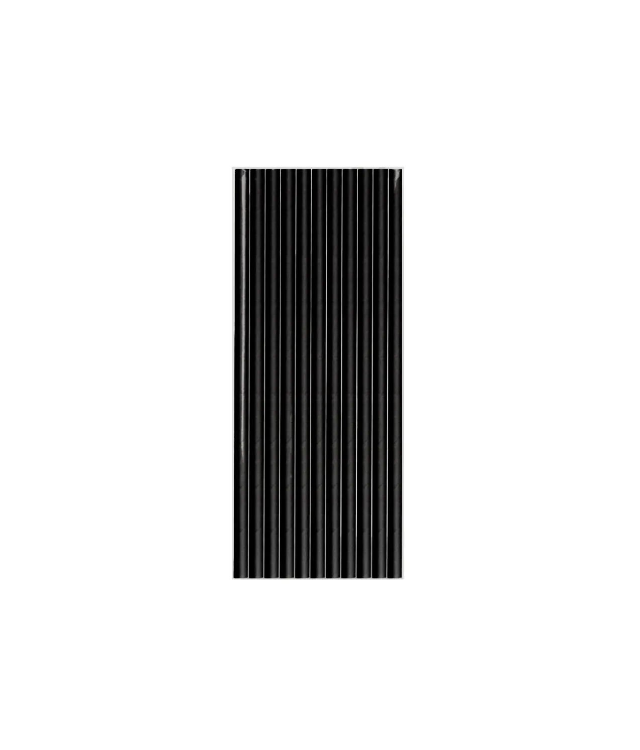 Black Paper Straws 25pk
