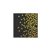 Black With Gold Dots Small Napkins 20pc