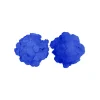 Blue Flower Bra