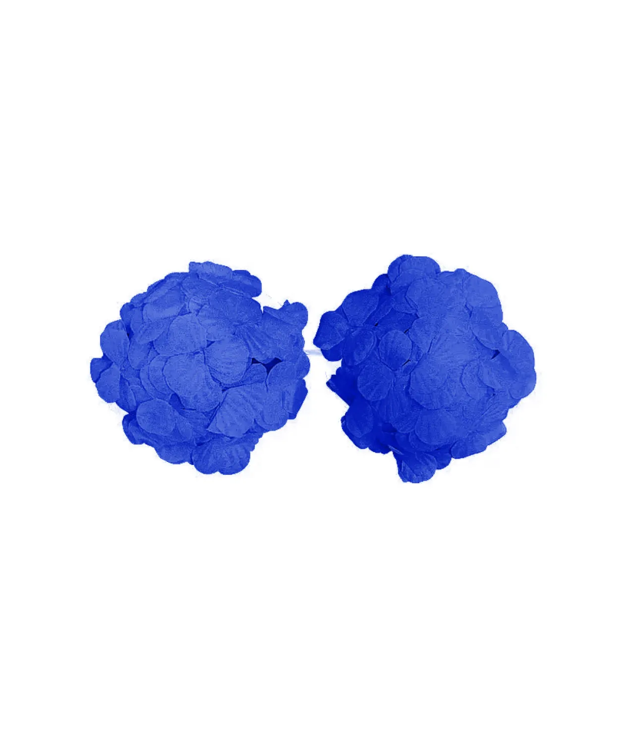 Blue Flower Bra