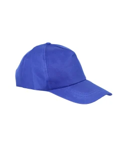 Blue Snapback Cap For Adult