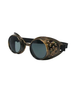 Bronze Steampunk Party Glasses