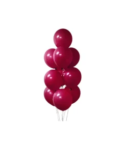 Burgundy Latex Balloons 12inch 20pk