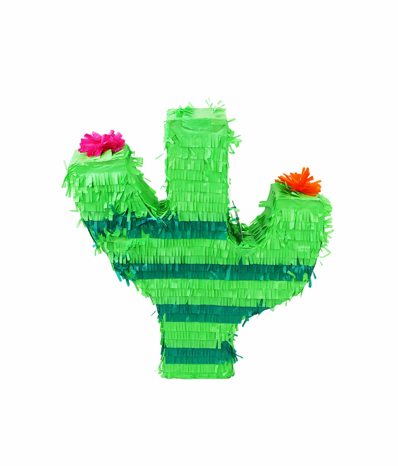 Cactus Pinata
