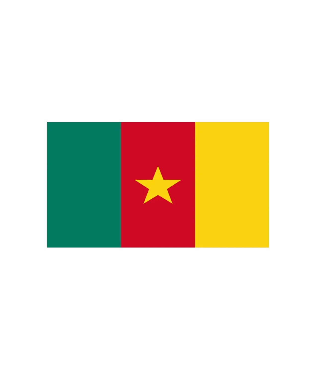 Cameroon Flag 90x150cm