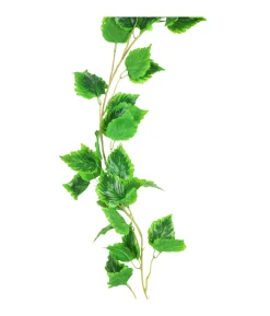 Cattail Vine 200cm Assorted