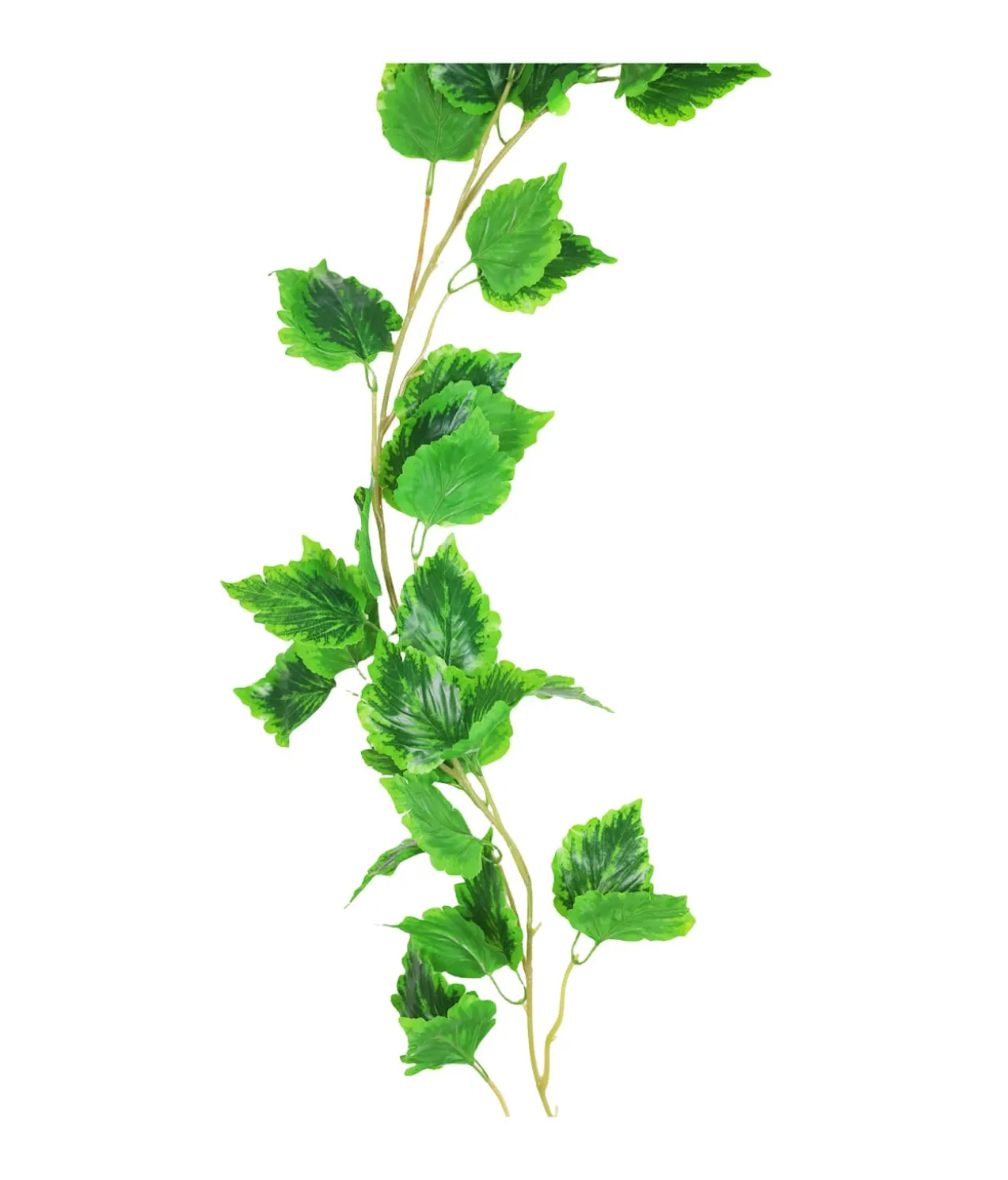 Cattail Vine 200cm Assorted
