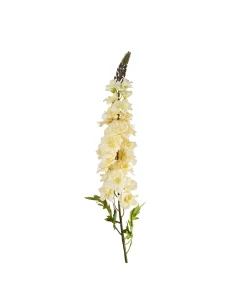 Champagne Delphinium Flower Stem 105cm