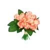 Champagne Fragrance Rose 17 Bunch 12 Head 24cm
