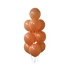 Coco Morandi Latex Balloons 12inch 20pk