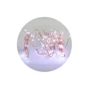 Copper Wire Cool White Seed Lights 100 LED