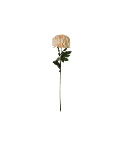 Cream Chrysanthemum Pongee 70cm