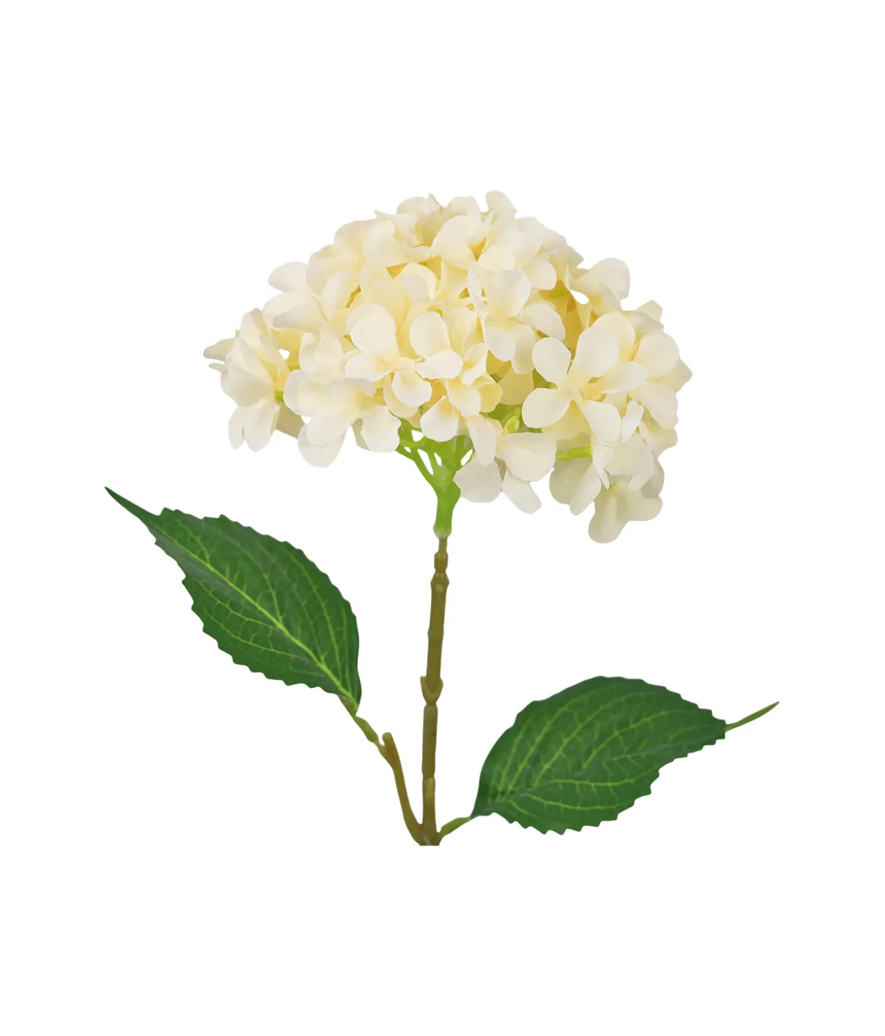 Cream Hydrangea Flower 63cm