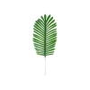 Dark Green Needle Leaf Stem 55cm