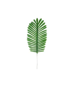 Dark Green Needle Leaf Stem 55cm