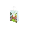 Dinosaur Printed Small Paper Bags 21cm 4pk