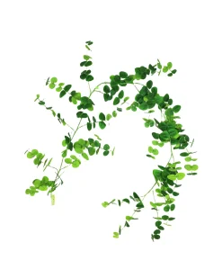 Eucalyptus Garland 190cm Assorted