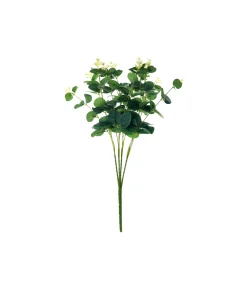 Eucalyptus 16 Stem Bush