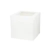Extra Tall Cake Box with Window 10in
