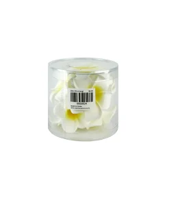 Frangipani Warm White Lights 1.5m
