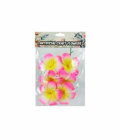 Fuchsia Yellow Frangipani 6cm 6pc