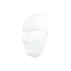 Full Face Paintable Paper Mask