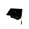 Graduation Felt Hat