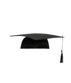 Graduation Felt Hat