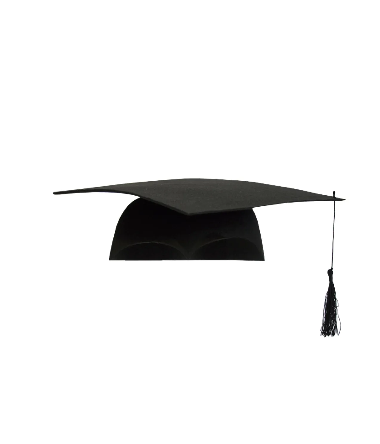 Graduation Felt Hat