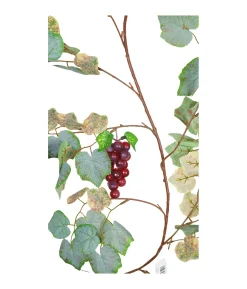 Grape Garland 170cm