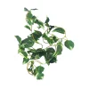 Green Plantsvane 275cm