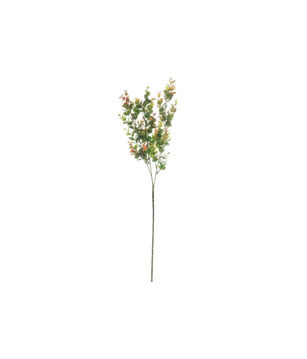 Green & Red Eucalyptus Stem 67cm
