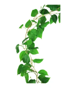Green Wisteria Vine 200cm