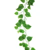 Green Wisteria Vine 185cm Assorted