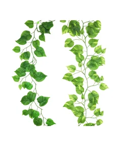 Green Wisteria Vine 185cm Assorted