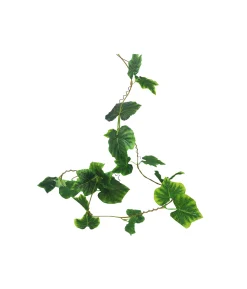 Green & Yellow Maple Leaf Cane 275cm