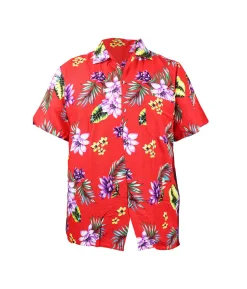 Hawaiian Shirt Assorted