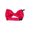 Hot Pink Bow Tie