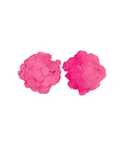 Hot Pink Flower Bra