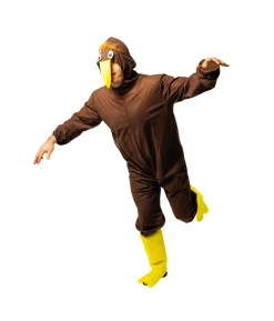 Kiwi Bird