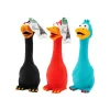 Latex Dog Toy Assorted 20cm
