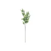 Light Green Eucalyptus Stem 67cm