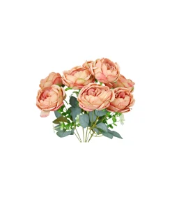Light Salmon Peony Rose Bush 9 Head 40cm