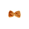 Lion Accessory Set