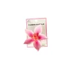 Lotus Flower Hairclip Assorted 9cm