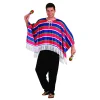 Mexican Poncho
