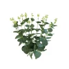 Money Leaf Stem 46cm